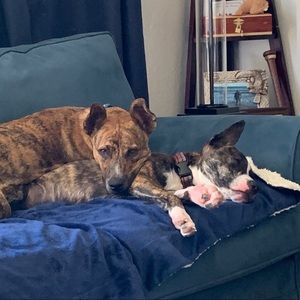 Meet your Posher, Katherine